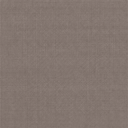 Evernights | Blackout Curtains - Evernights