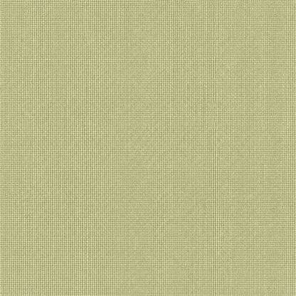 Evernights | Blackout Curtains - Evernights